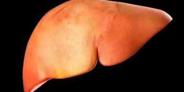 Must Read!! See Dangerous Habits You Do That Can Damage Your Liver ( No. 5 Is Important)